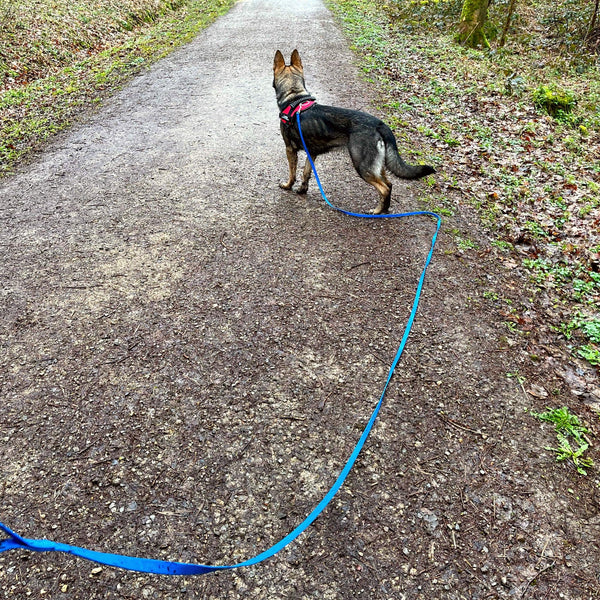 Schleppleine - robust, wasserfest | Premium Fährtenleine aus PVC 5/10/15m