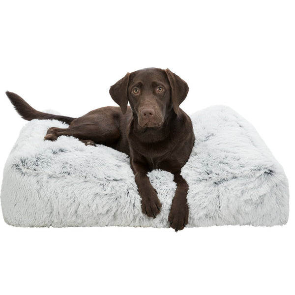 Hundekissen - HARVEY weiß | Langhaar-Plüsch-Kissen für Hunde