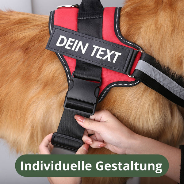Personalisierbare Tags für Geschirre