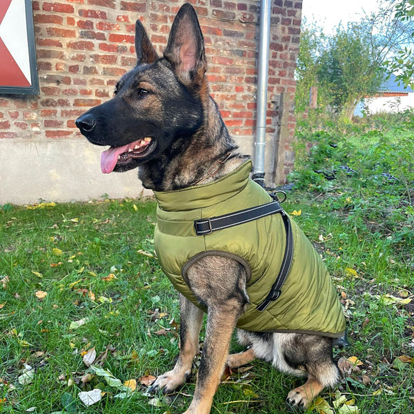 Hundewintermantel mit Fleece große und kleine Hunde