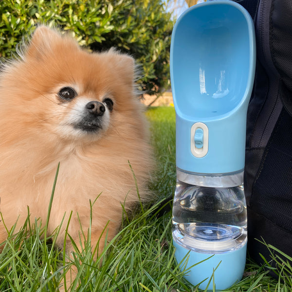 Hunde Trinkflasche inkl. Futterbehälter