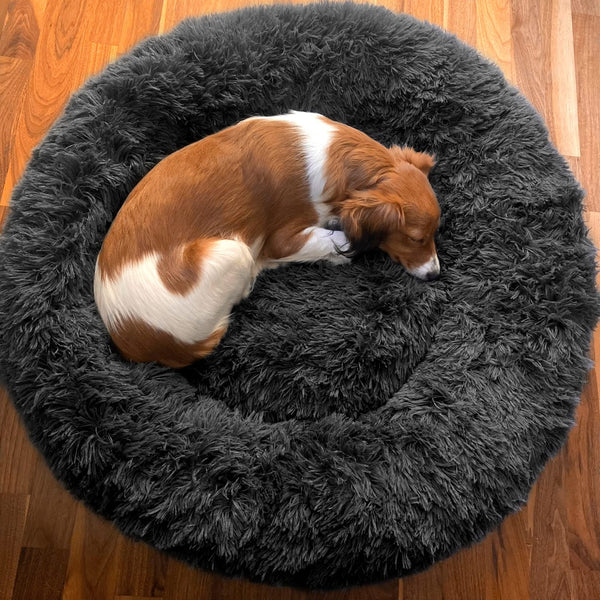 Wolke 7 Hundebett | Farbe dunkelgrau