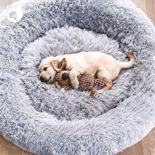 Wolke7-Hundebett in Farbe Grau