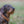 Hundehalsband CLASSIC Light