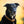 Hundehalsband CLASSIC Leder