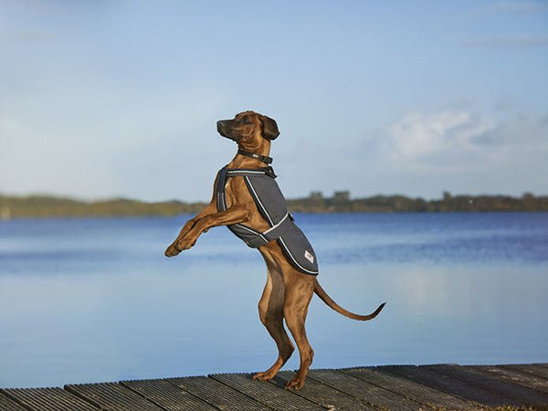 Outdoormantel KAPPA 2- in-1