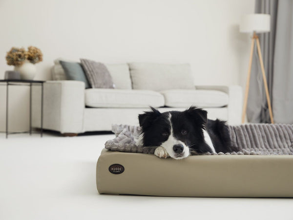 Hundebett KUDDE Terra Kunstleder