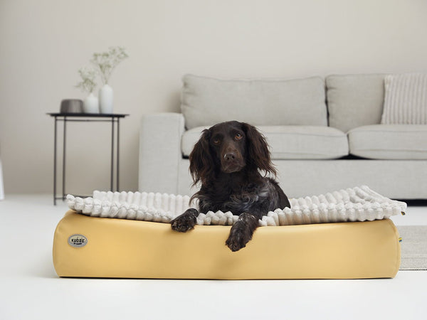 Hundebett KUDDE Terra Kunstleder