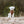 Hundepullover HIMALAYA Wolle