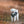 Hundepullover HIMALAYA Wolle