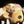 Ankuschelhund TOMTE