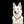 Hundehalsband CLASSIC Rundzug