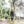 Schleppleine OUTDOOR 5m