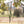 Schleppleine OUTDOOR 5m