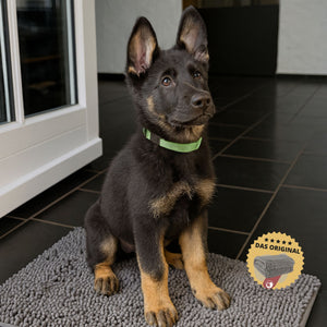 matte für hunde, eingangsbereich, sauber halten.