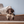 Hundebett KUDDE veganes Wildleder