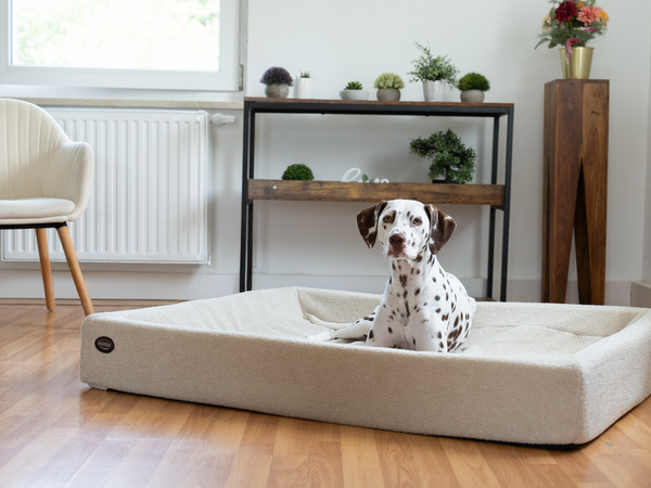 Hundebett KUDDE Bouclé