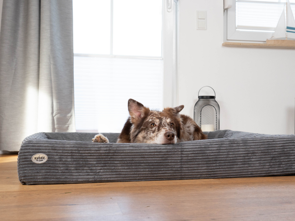 Orthopädisches Hundebett KUDDE Cord