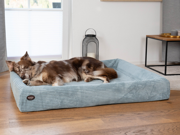 Orthopädisches Hundebett KUDDE Cord