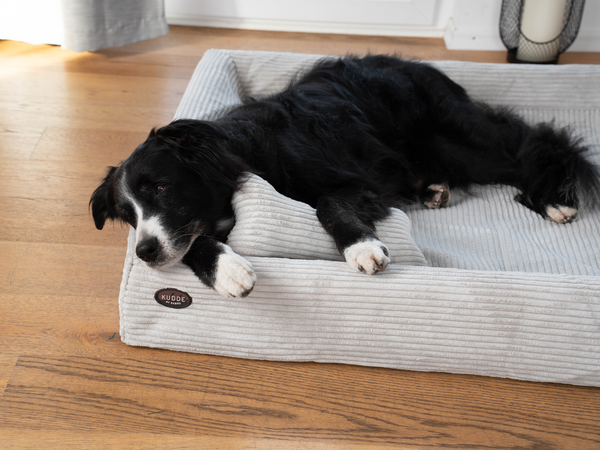 Orthopädisches Hundebett KUDDE Cord