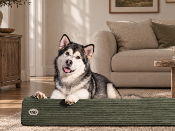 Orthopädisches Hundebett KUDDE Cord