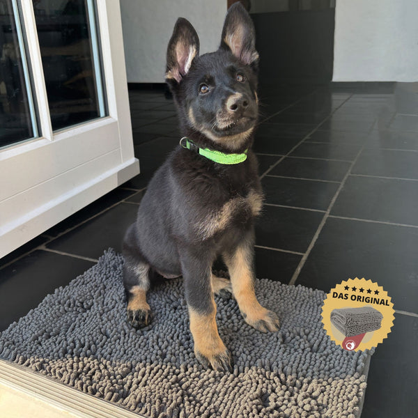 Hunde Schmutzfangmatte | Rutschfeste Bodenmatte in Premiumqualität