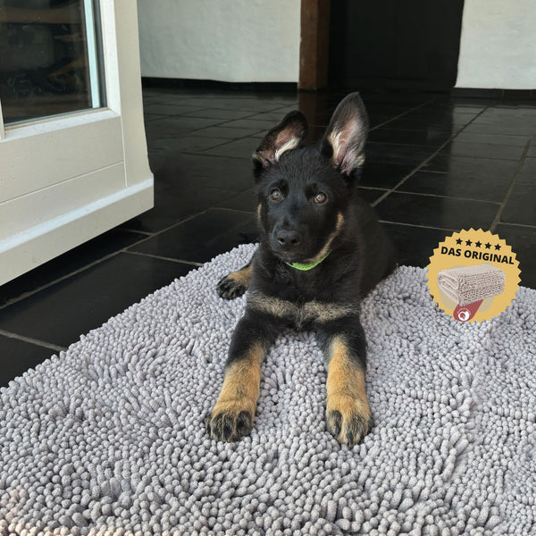 Hunde Schmutzfangmatte | Rutschfeste Bodenmatte in Premiumqualität