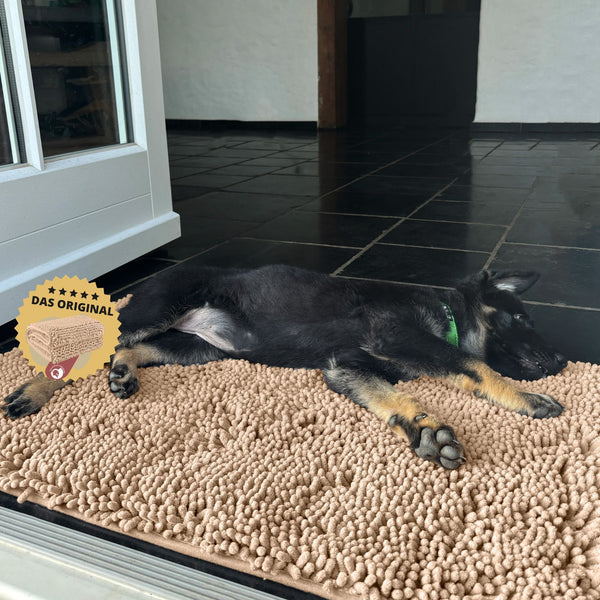 Hunde Schmutzfangmatte | Rutschfeste Bodenmatte in Premiumqualität