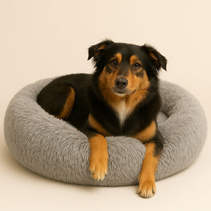 das original wolke 7 hundebett tetsieger
