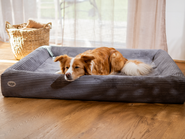 Orthopädisches Hundebett KUDDE Cord