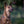 Hundehalsband OUTDOOR Rundzug