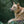 Hundehalsband CLASSIC Leder