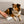 hunde fusselrolle
