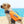 Hund mit Hundeschwimmweste - Farbe Orange