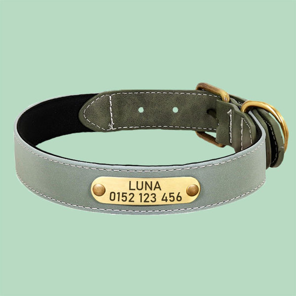 personalisiertes hundehalsband premium aus leder grun