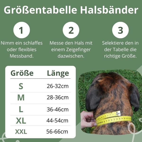 Hundehalsband - GladiatorZoo OXFORD Series - Halsband Leder personalisiert