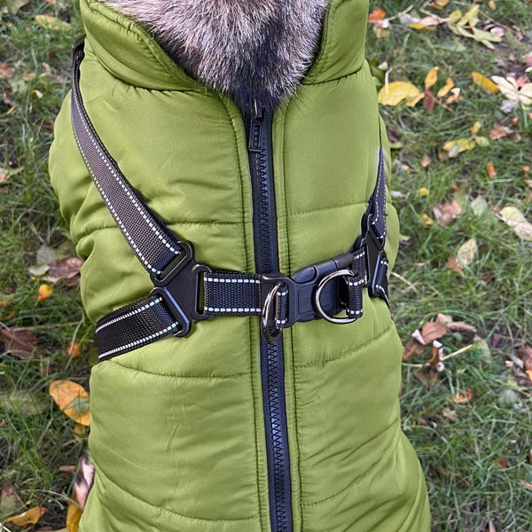 Hundemantel mit Fleece für den Winter