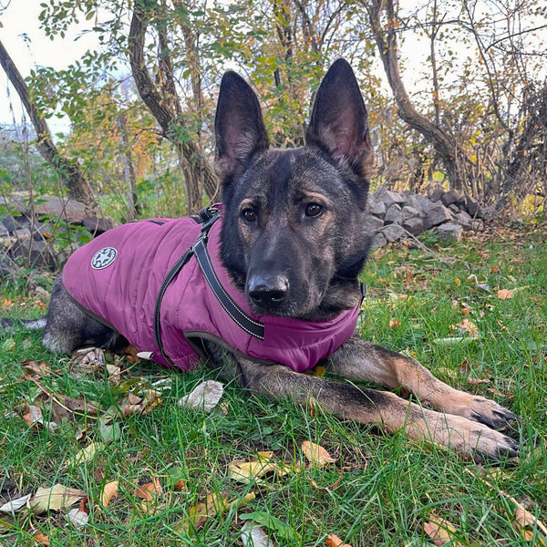 Pinkfarbener Hundemantel mit Fleece für den Winter große und kleine Hunde