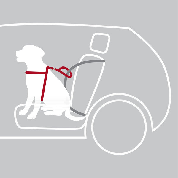 Hundegeschirr - TRIXIE Dog Protect fürs Auto | Sicherheitsgeschirr für Hunde
