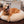 Wolke7 Hundebett Farbe beige mit Hund