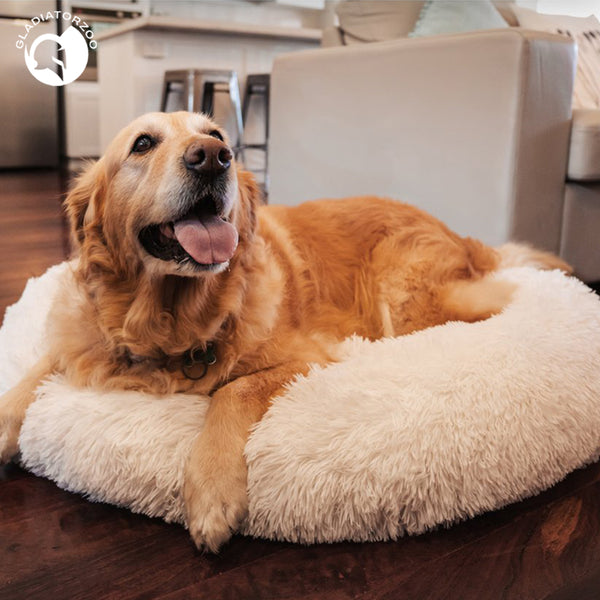 Wolke7 Hundebett Farbe beige mit Hund